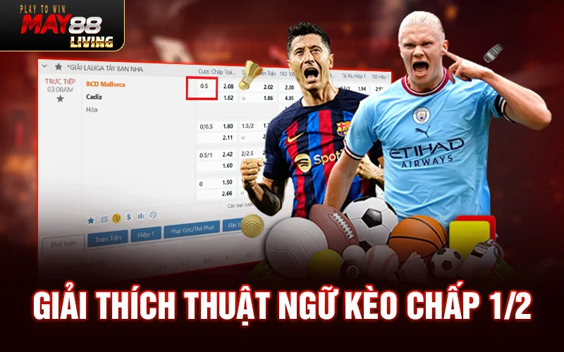 Giải thích thuật ngữ kèo chấp 1/2