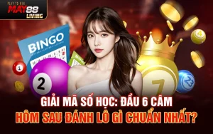 Giải mã Số học: Đầu 6 câm hôm sau đánh lô gì chuẩn nhất?