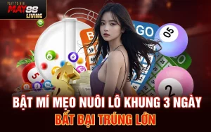 Bật mí mẹo nuôi lô khung 3 ngày bất bại trúng lớn