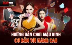 Hướng dẫn chơi Mậu Binh cơ bản tới nâng cao