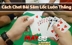 Nghệ thuật đánh Sâm Miền Bắc chuyên nghiệp