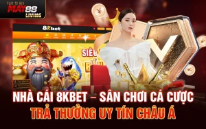 Nhà cái 8KBET – Sân chơi cá cược trả thưởng uy tín Châu Á