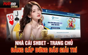 Nhà cáI SHBET – Trang chủ đẳng cấp đứng đầu giải trí