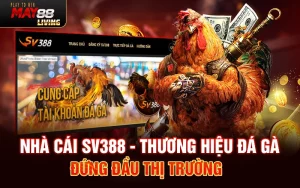 Nhà cái Sv388 – Thương hiệu đá gà đứng đầu thị trường